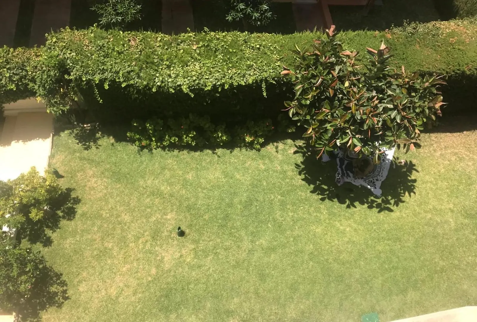 2 Minutos A La Playa Y Piscina- La Carihuela Apartment Torremolinos 0*,  Spain